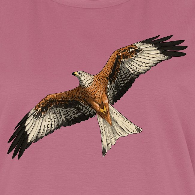 Birdingplaces Red Kite