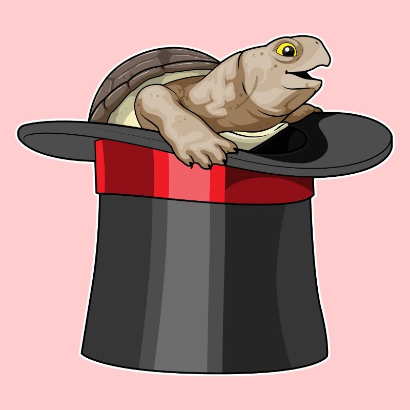 Turtle Wizard Cylinder