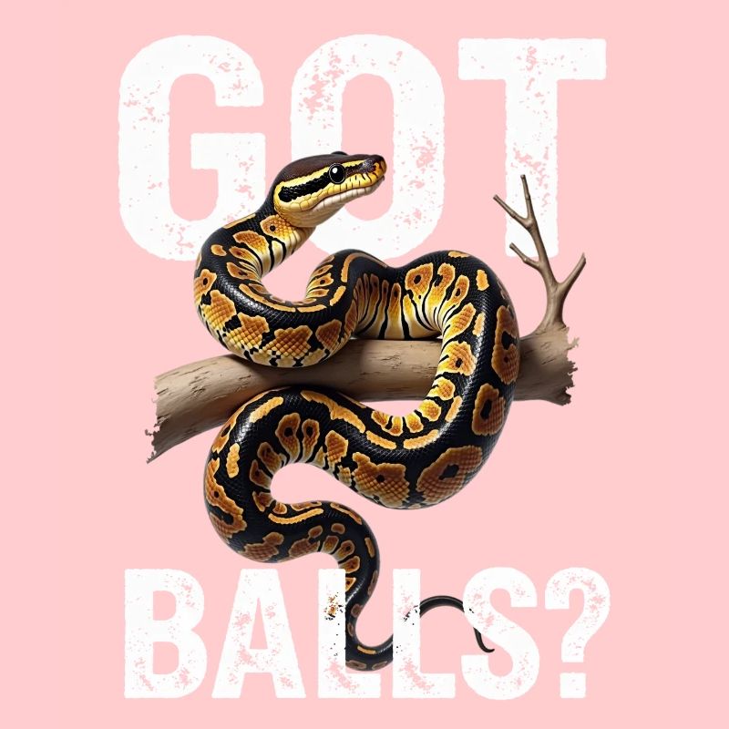 Python roi Serpents Amateurs de terrarium Python