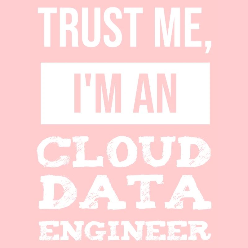 Cloud Data Engineer Data Technician IT IT