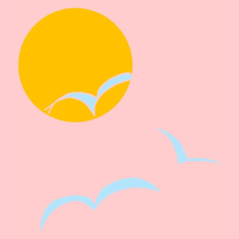 Sonne Möwen 02