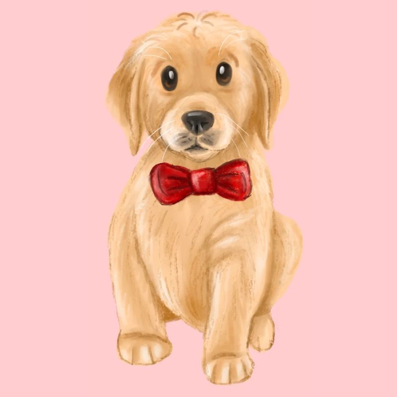 Puppy