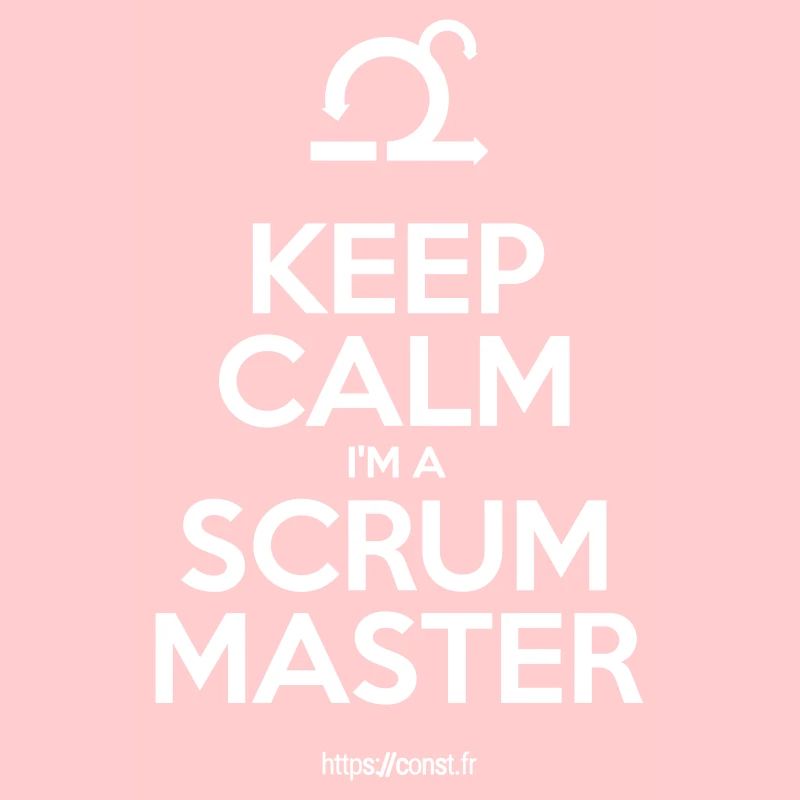 BEHALTEN SIE RUHE Ich bin ein SCRUM MASTER