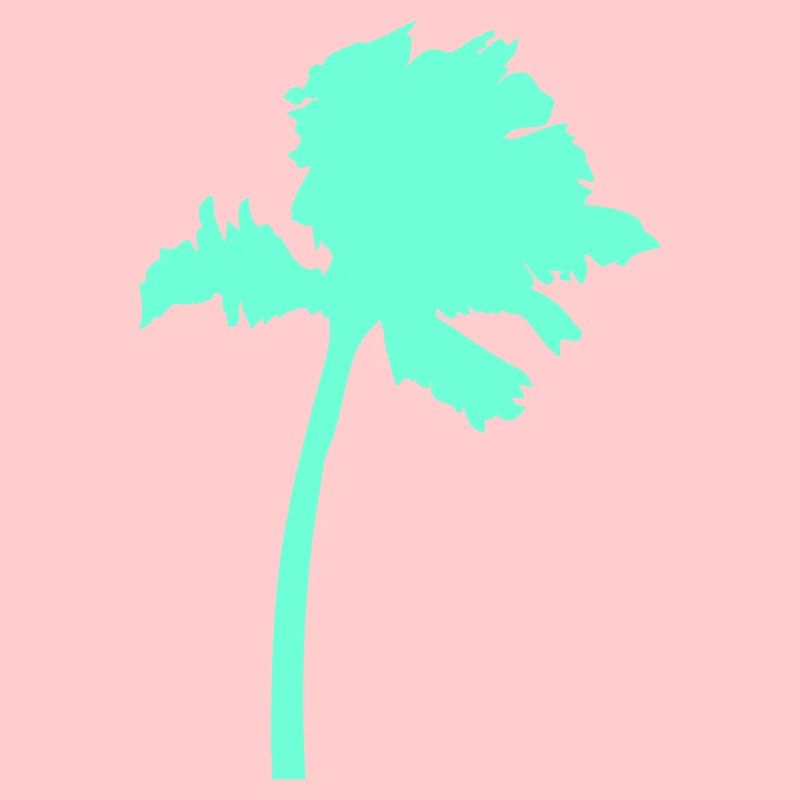 Palm Tree Island Tree Plage Vacances Noix de Mer Cool