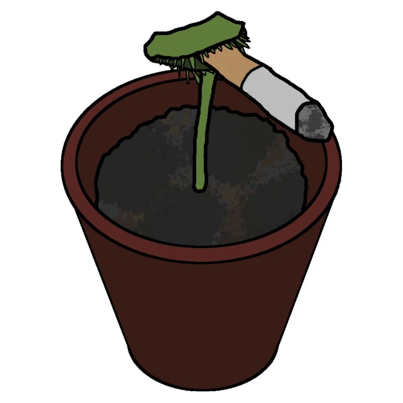 Venus Flytrap with Cigarette