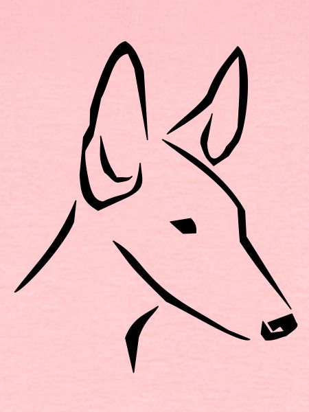 Podenco