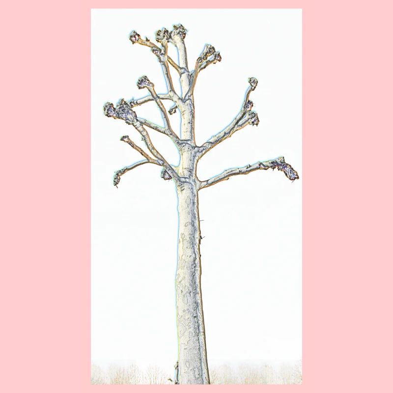 Tree without crown - line drawing brightly colored