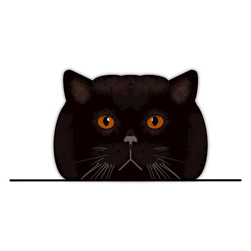 British Kurzhaar Katze