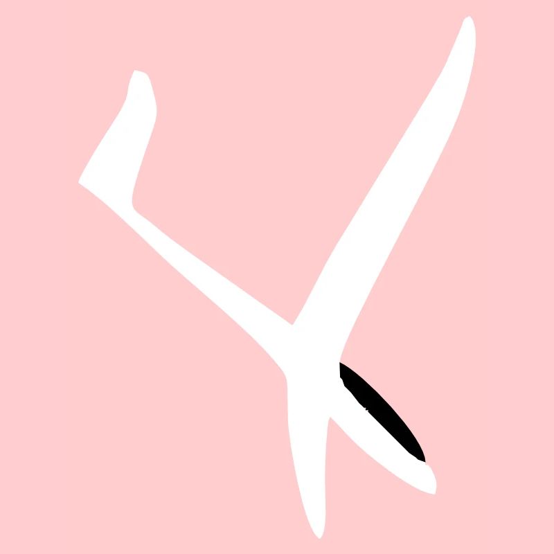 Glider Gliding Gliding Glider