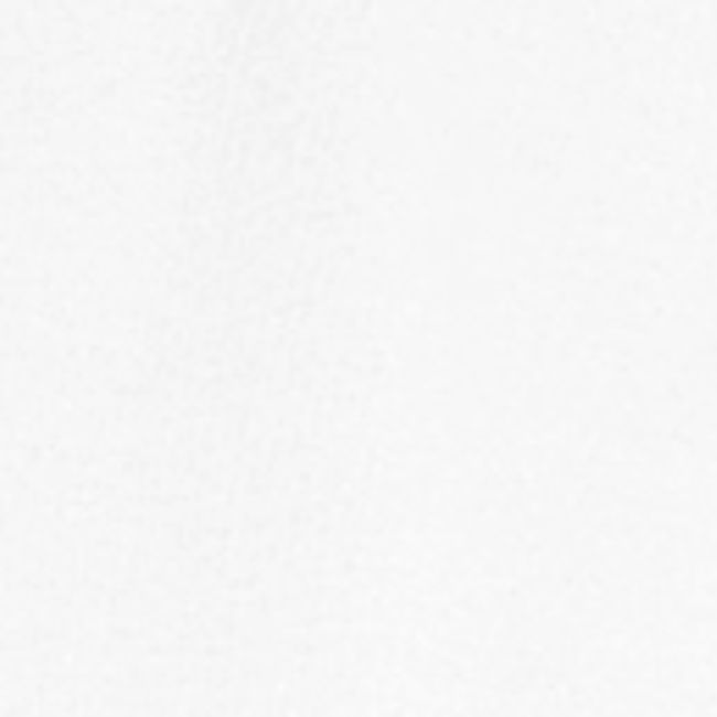 LOGO STREETWAY BLANC