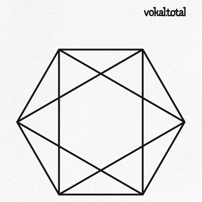 vokal.total Hexagon klein T-Shirts