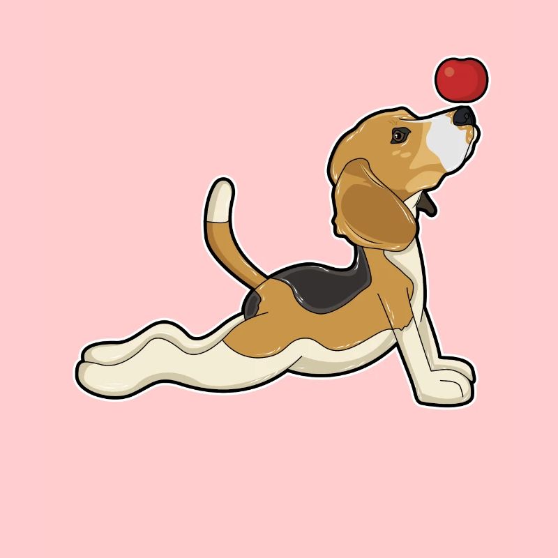 Beagle