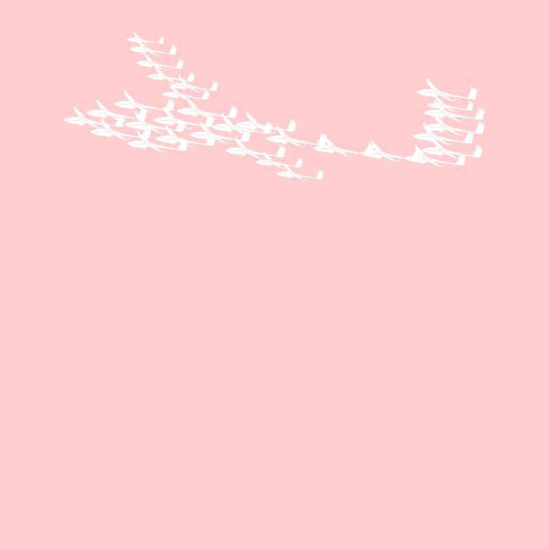 Glider Airplanes Glider