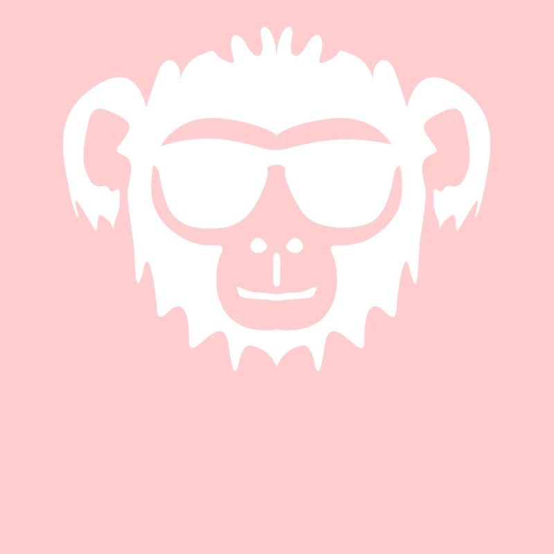 Monkey with sunglasses monkey