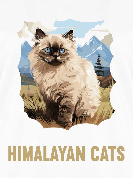 Himalaya kat Colourpoint Katze