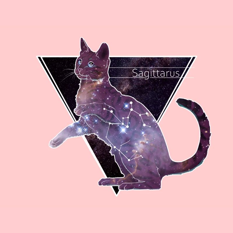 Sagittarus constellation Sagittarius cat gift