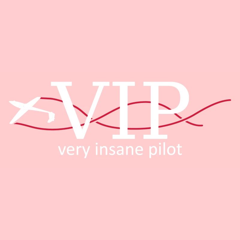 VIP pilot glider pilot gliding
