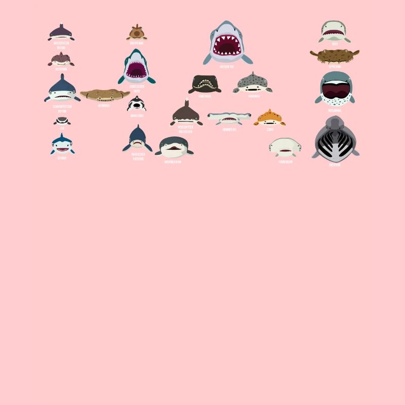 Requins, requins, requins