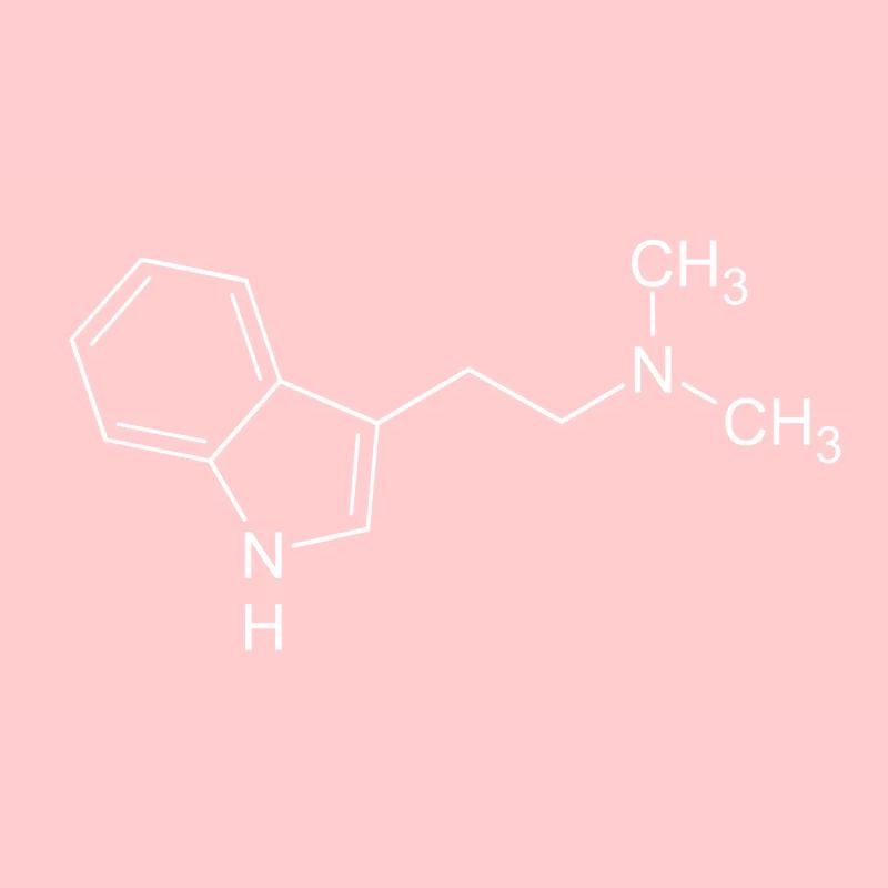 DMT dimethyltryptamine structural formula