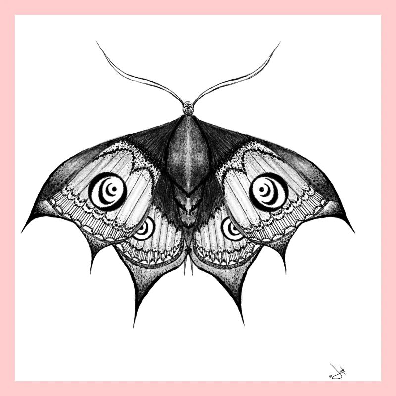 Ink Moth Black