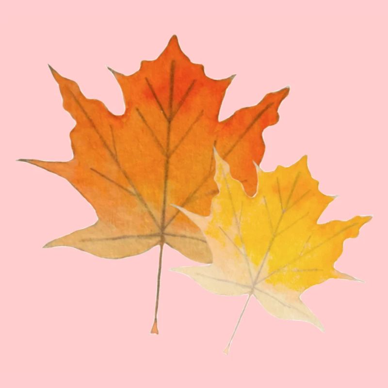 Feuilles d'érable