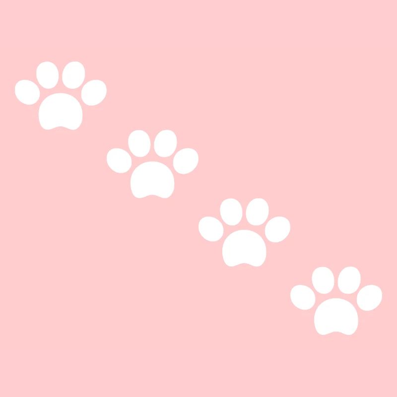 Cat paws in white