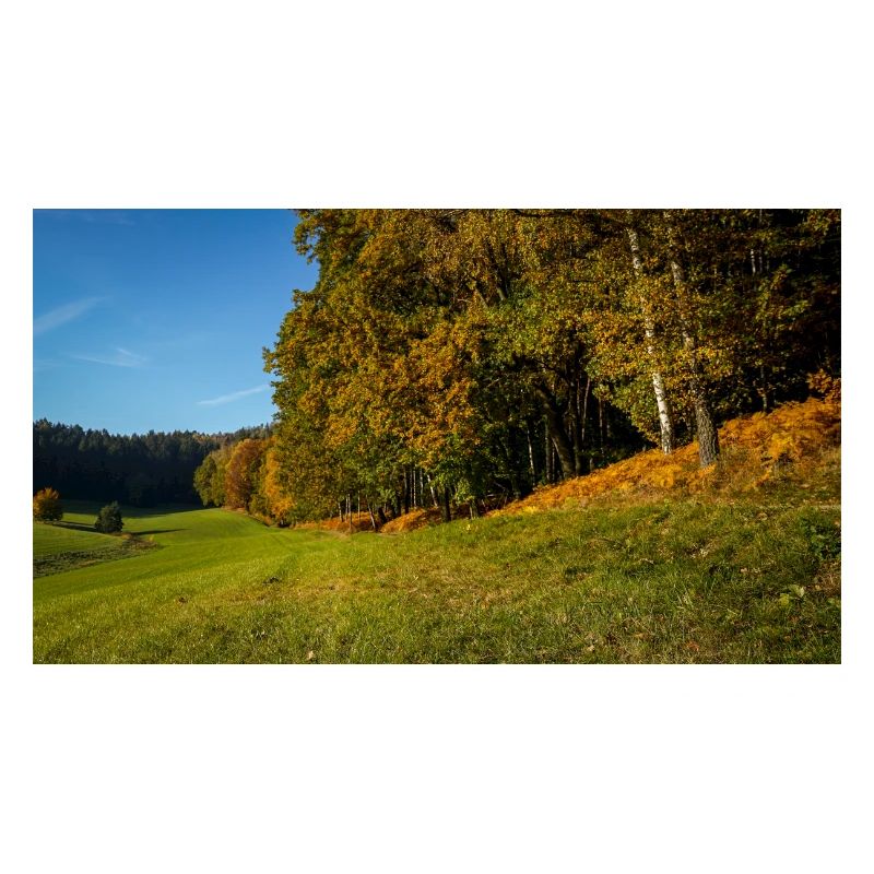 Chemin d’automne