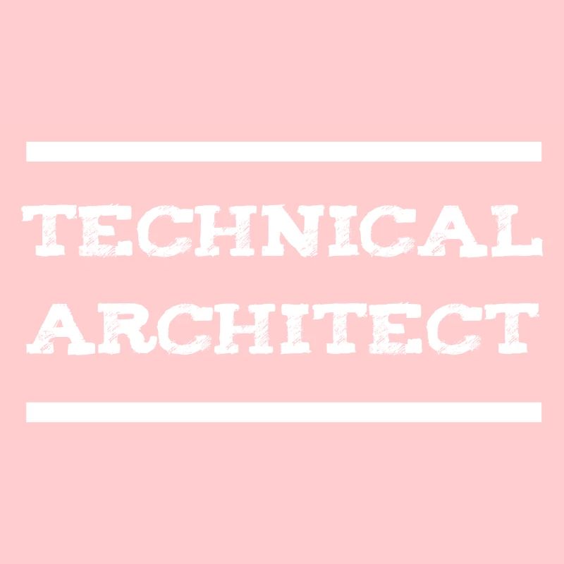 Technical Architect Data Engineer IT Developer