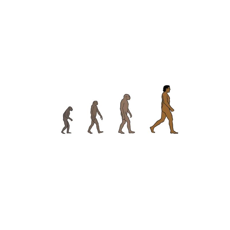 Evolution am Zebrastreifen der Abbey Road