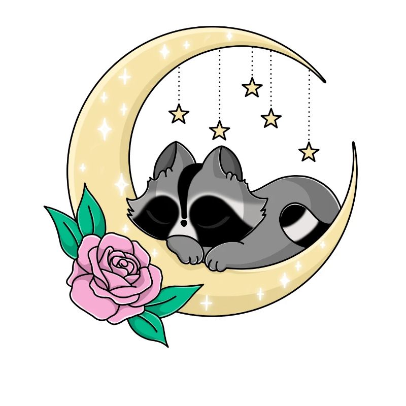 Snuggles der Waschbär schlafend im Mond