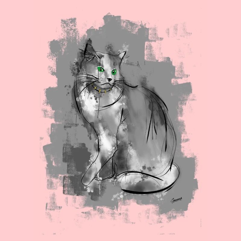 chat