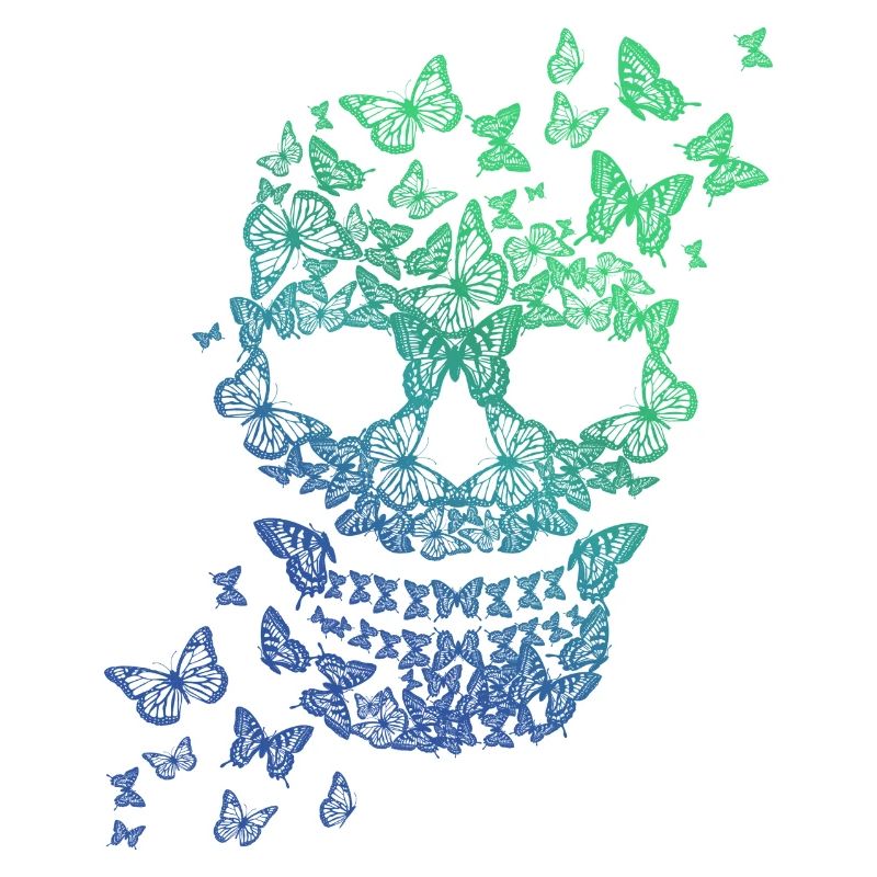 Crâne de papillon