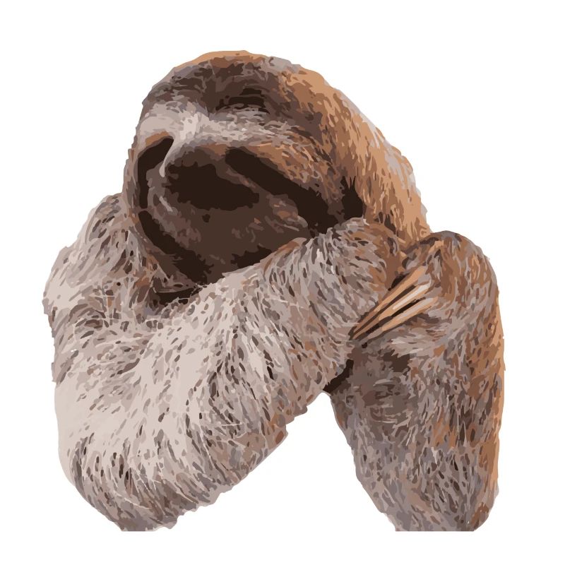 Sloth / Sloth