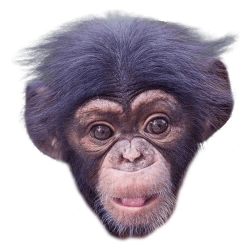 Mode de visage de singe mignon