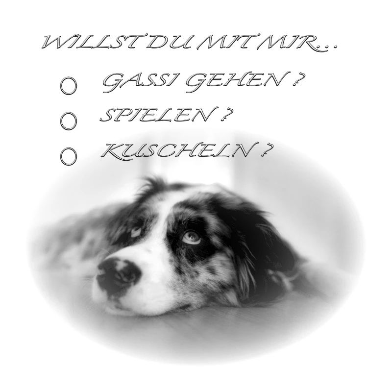 Willst du mit mir...? - Aussie Australien Shepherd