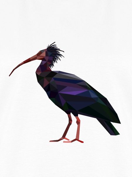 Waldrapp