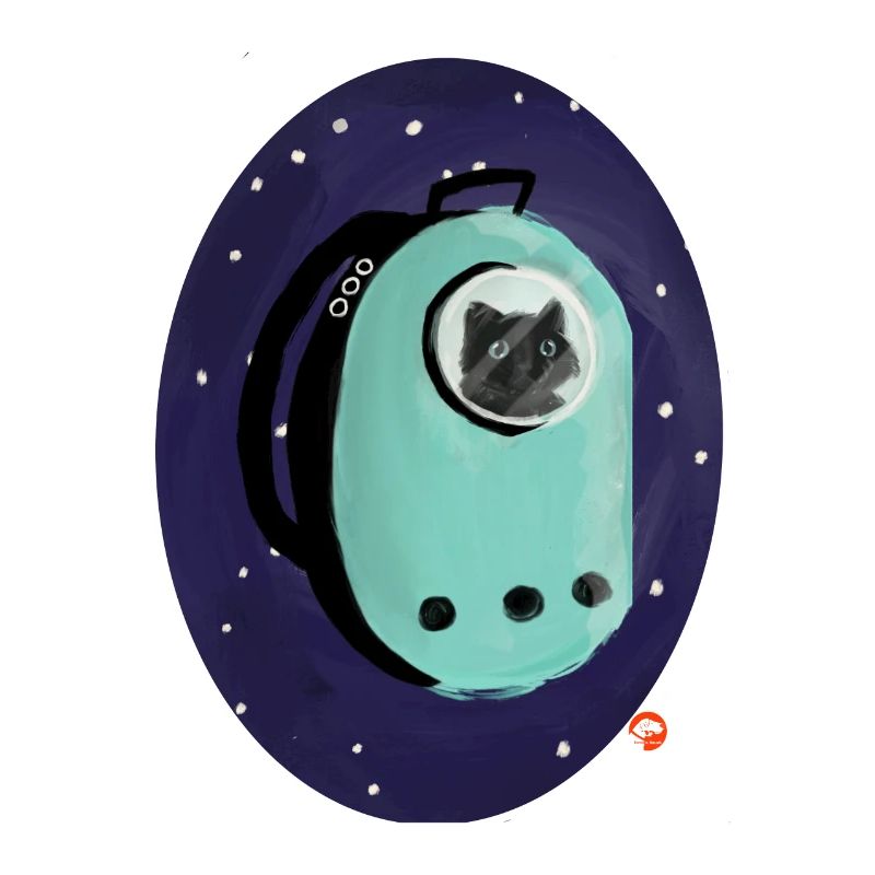 Chaton de l’espace