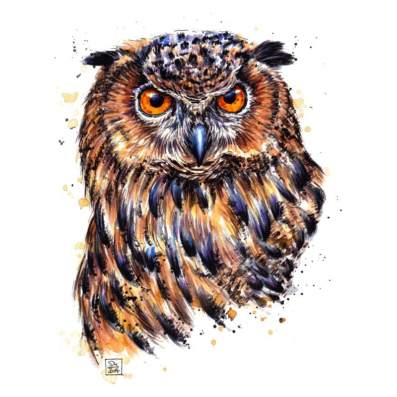 Uhu | eagle-owl