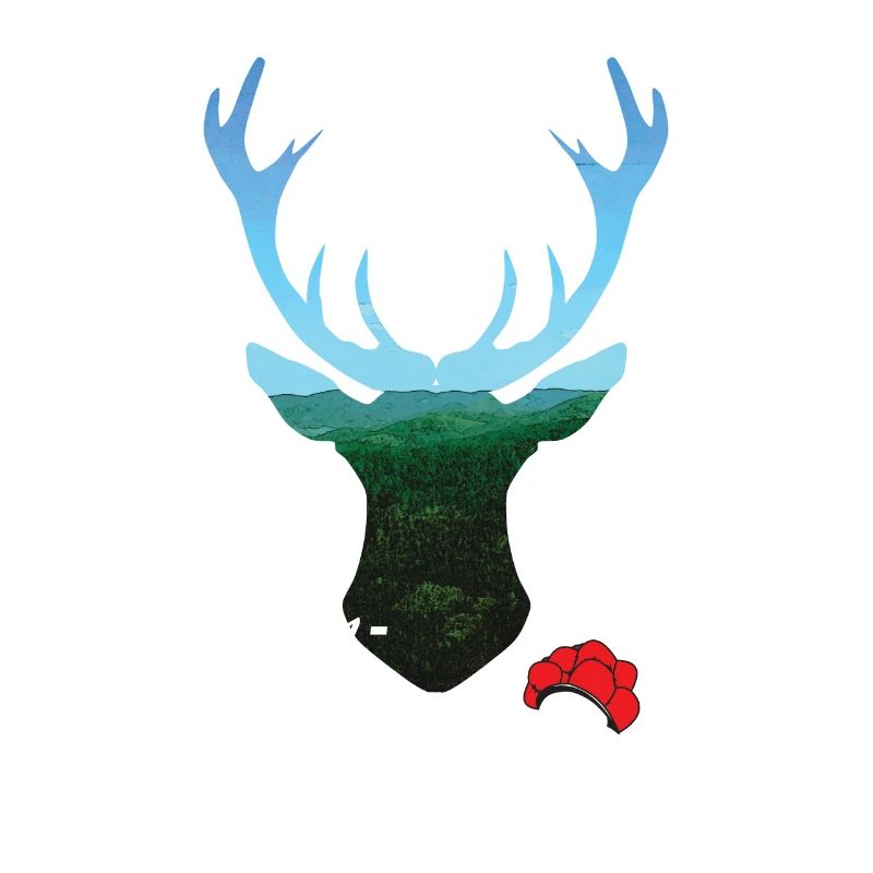 Schwarzwald Hirsch
