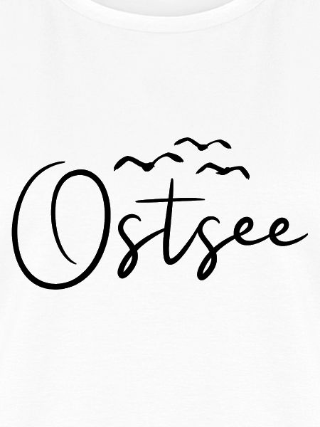 Ostsee Möwen