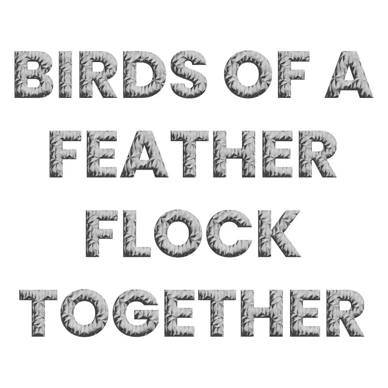 Les oiseaux de même plume volent ensemble