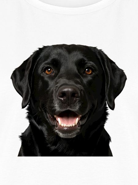 Schwarzer Labrador-Hundefront