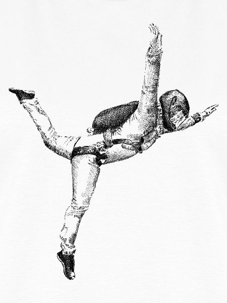 free fly