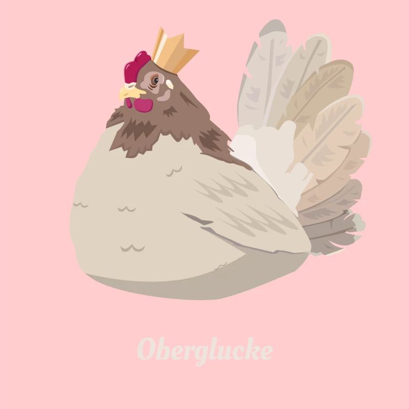 Oberglucke - Hens with attitude