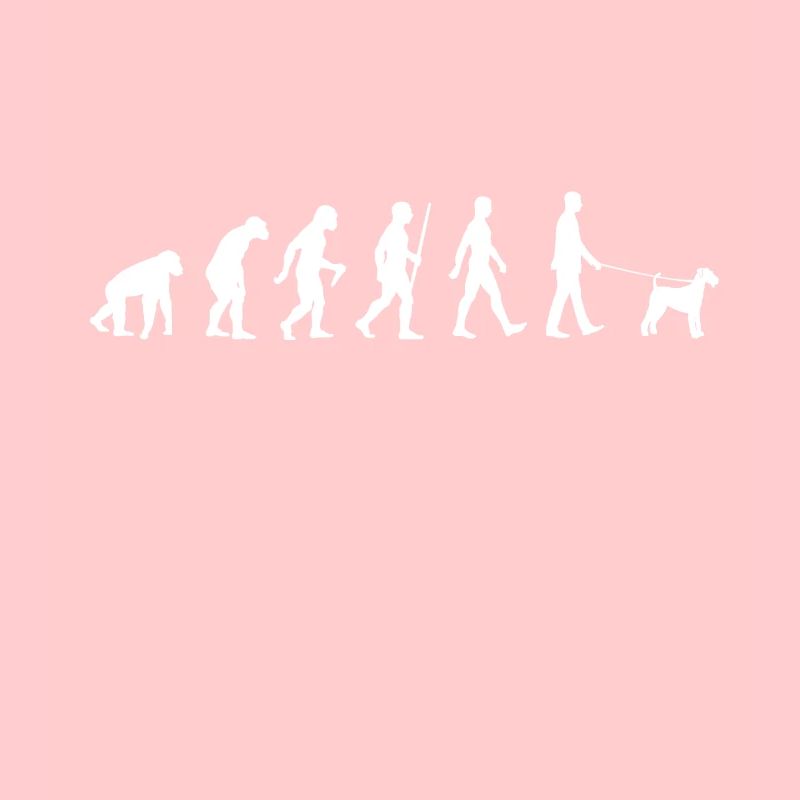 Evolution Airedale Terrier Walker