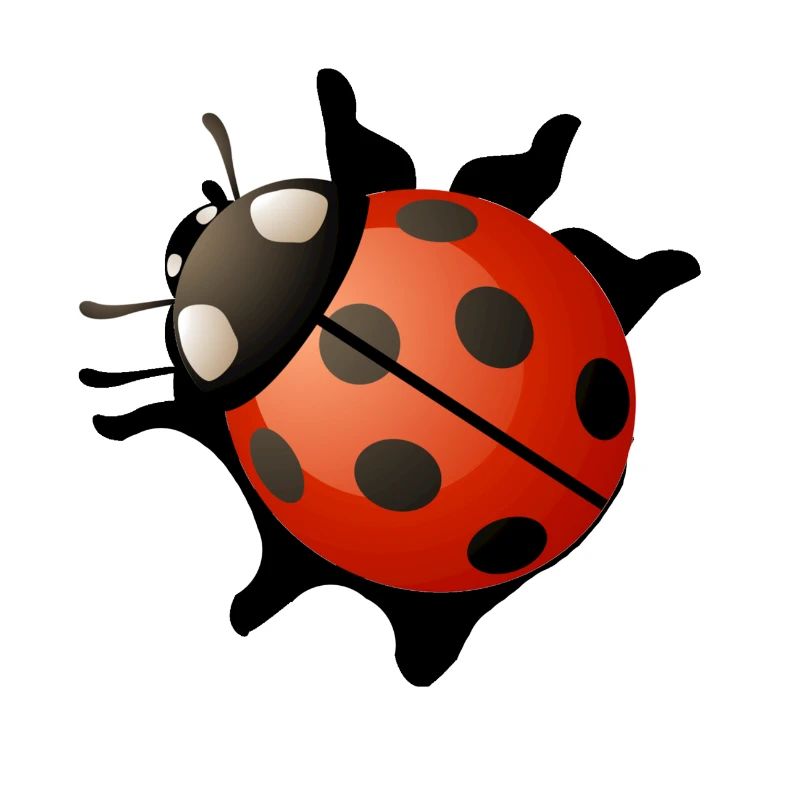 Ladybug red gift present idea