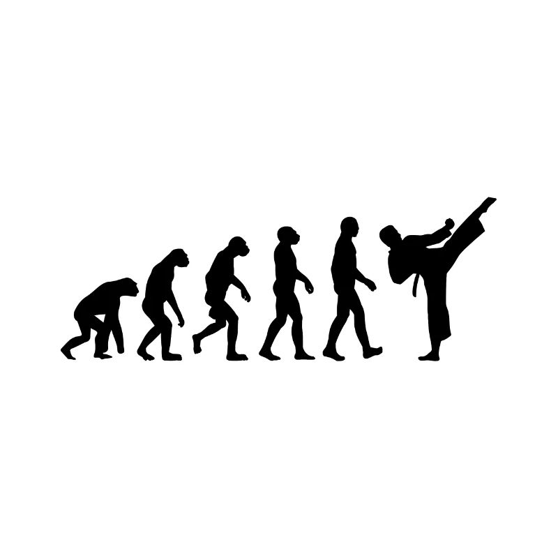 Karate Judo Martial Arts Evolution Taekwondo Kung Fu