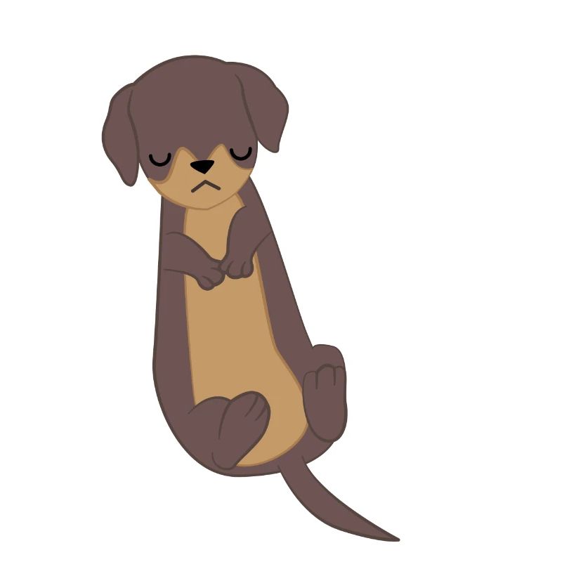 Teckel - Chien de toit - Teckel chiot - Cadeau