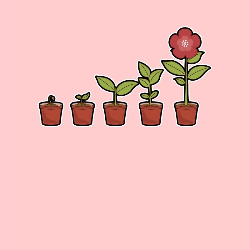 Evolution d'une fleur en fleurs dans le pot