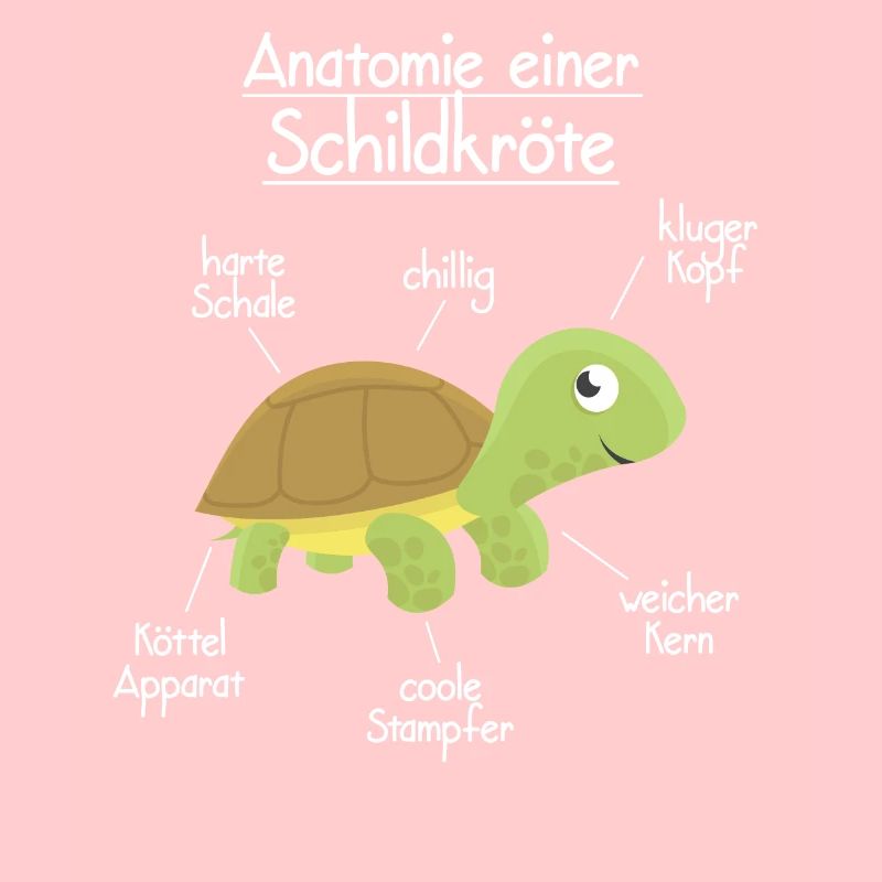 Anatomie einer Schildkröte